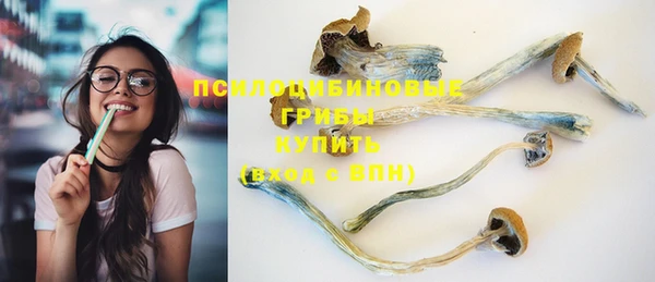 МДПВ Алзамай