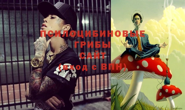 PSILOCYBIN Заволжск